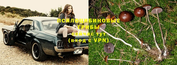 мдма Медногорск