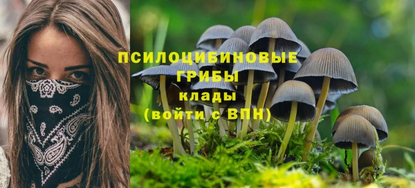 дживик Мегион