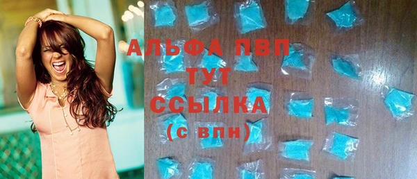 дживик Мегион
