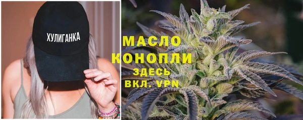 дживик Мегион