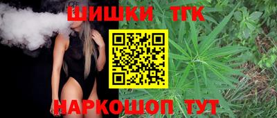 МДПВ Гатчина