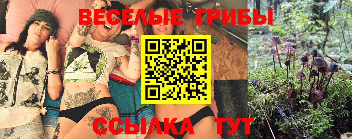 Галлюциногенные грибы GOLDEN TEACHER Лабинск