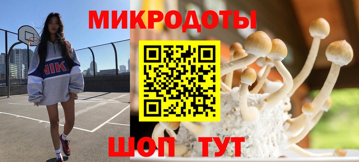 Галлюциногенные грибы мицелий  Псилоцибиновые грибы мицелий  Лабинск  Вход с VPN 