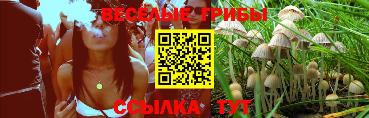 Псилоцибиновые грибы GOLDEN TEACHER  Лабинск 