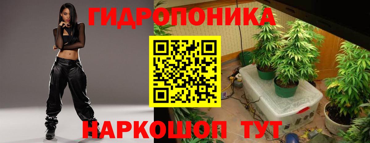 Бошки Шишки Лабинск